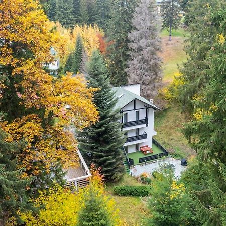 Family Treez Premium Apartments Poiana Brasov Buitenkant foto
