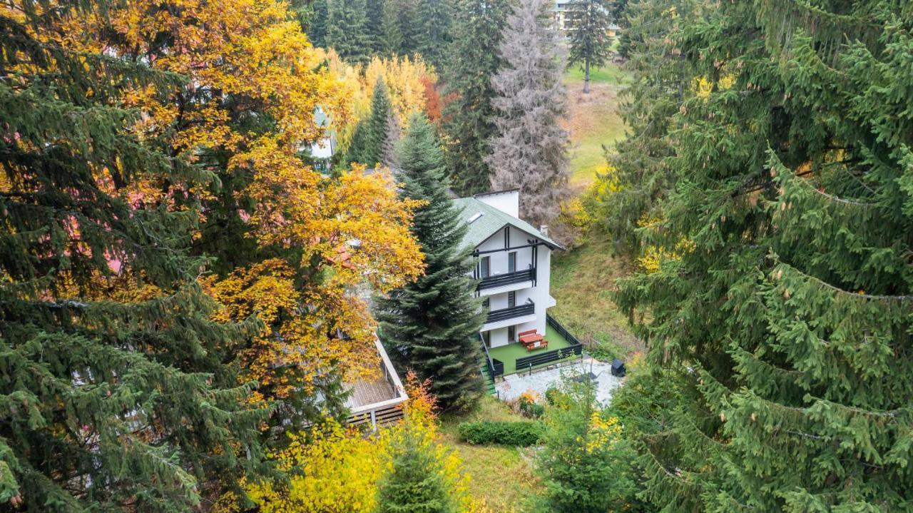 Family Treez Premium Apartments Poiana Brasov Buitenkant foto